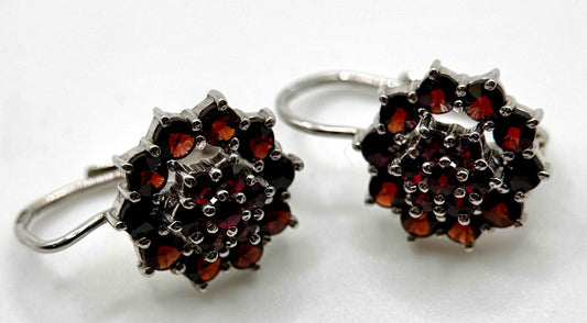 Bohemian Garnet Cluster Earrings – Prague