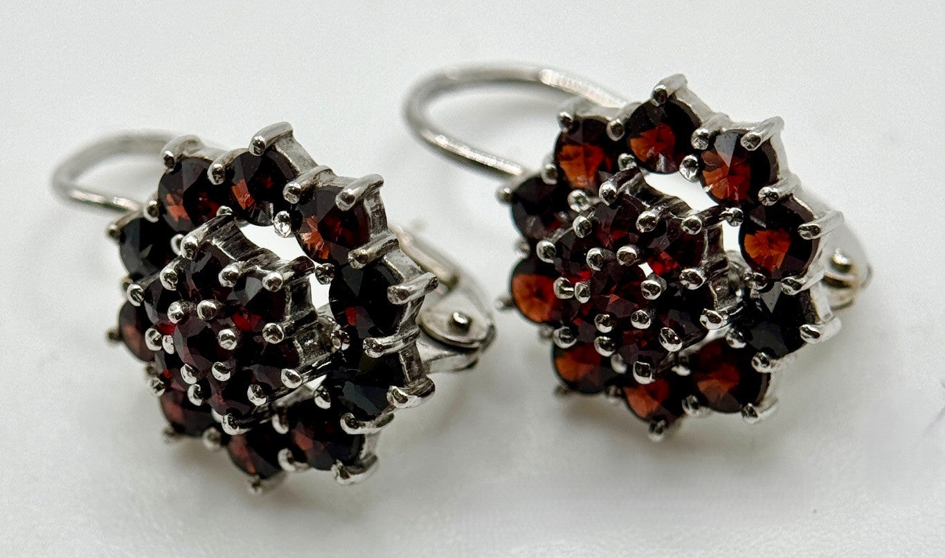 Bohemian Garnet Cluster Earrings – Prague